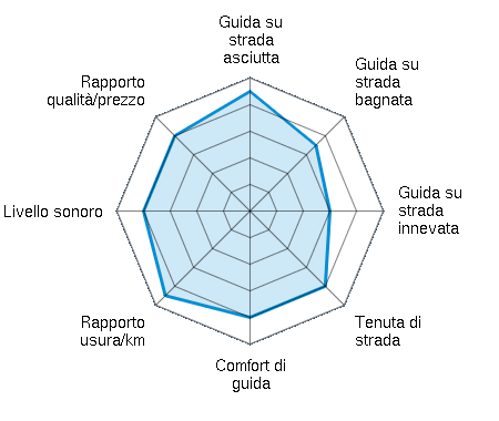 Guida su strada asciutta 4.50/5 | Guida su strada bagnata 3.50/5 | Guida su strada innevata 3.00/5 | Tenuta di strada 4.00/5 | Comfort di guida 4.00/5 | Rapporto usura/km 4.50/5 | Livello sonoro 4.00/5 | Rapporto qualità/prezzo 4.00/5