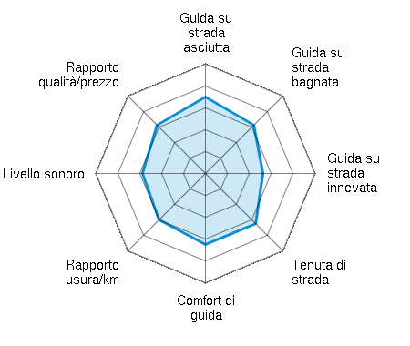 Guida su strada asciutta 3.50/5 | Guida su strada bagnata 3.13/5 | Guida su strada innevata 2.63/5 | Tenuta di strada 3.25/5 | Comfort di guida 3.25/5 | Rapporto usura/km 3.00/5 | Livello sonoro 2.88/5 | Rapporto qualità/prezzo 3.13/5
