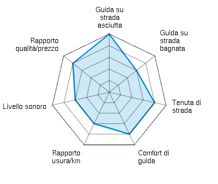 Guida su strada asciutta 5.00/5 | Guida su strada bagnata 3.00/5 | Tenuta di strada 4.00/5 | Comfort di guida 4.00/5 | Rapporto usura/km 3.00/5 | Livello sonoro 3.00/5 | Rapporto qualità/prezzo 4.00/5